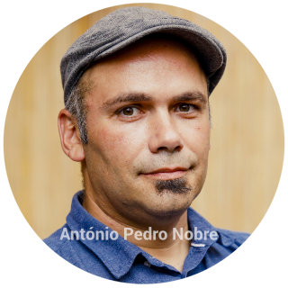 António Pedro Nobre